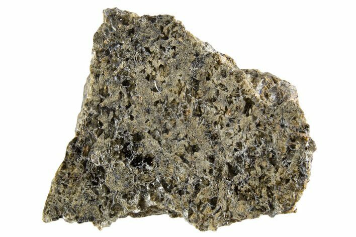 Martian Shergottite Meteorite ( g) Slice - NWA #335351